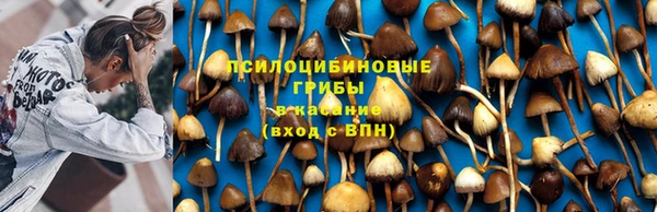 PSILOCYBIN Богородск